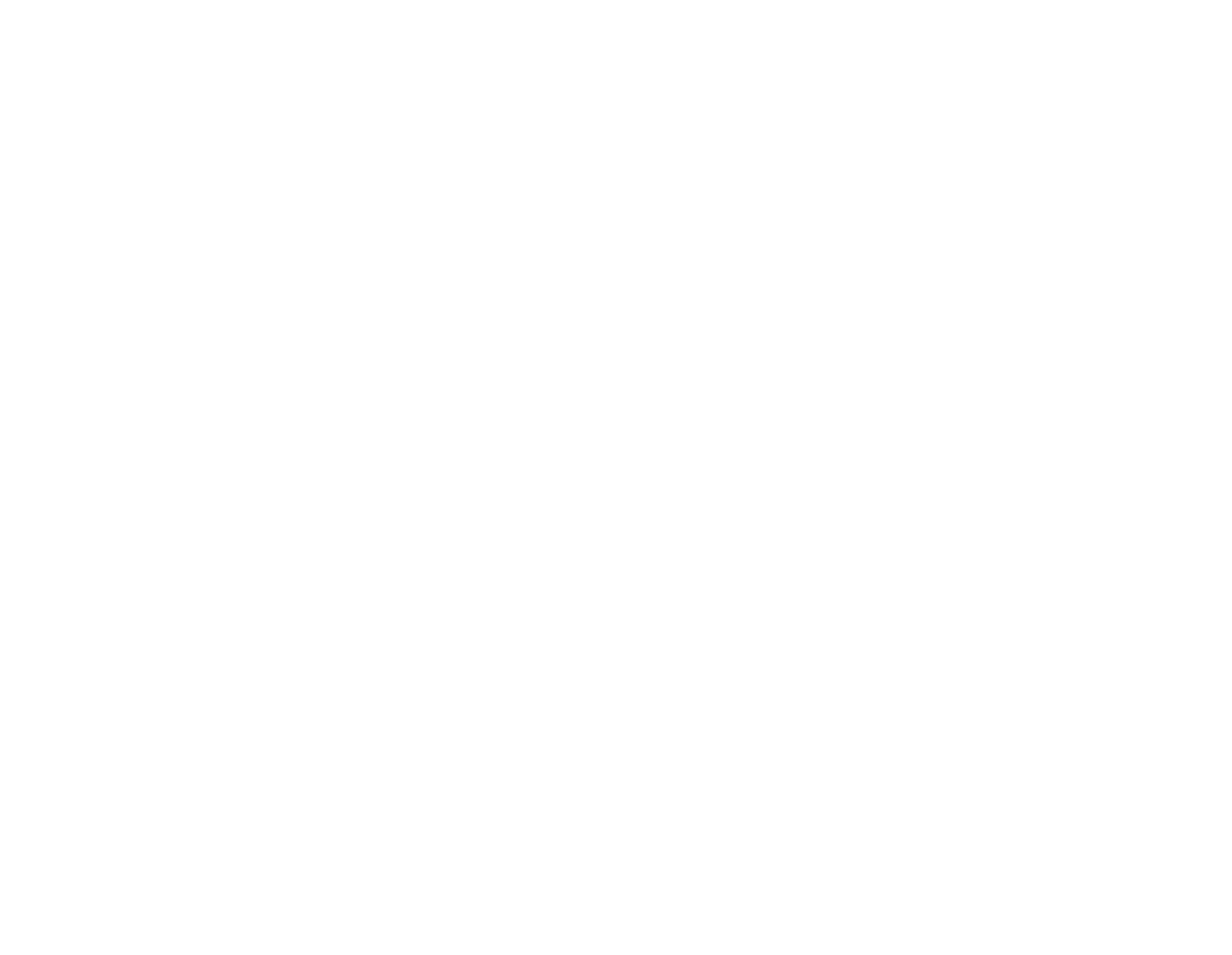 SüdwestRing Versicherungsmakler